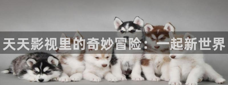 yy6080电视剧电影免费观看