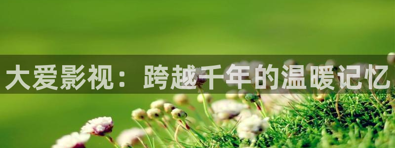 yy6080影院在线观看