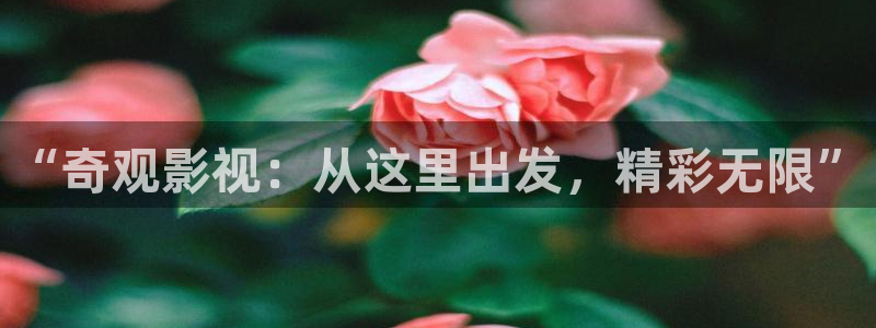 6080新视觉电影免费播放